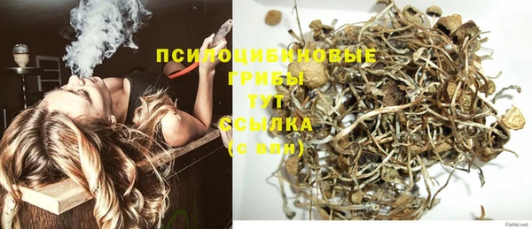 ALPHA-PVP Баксан