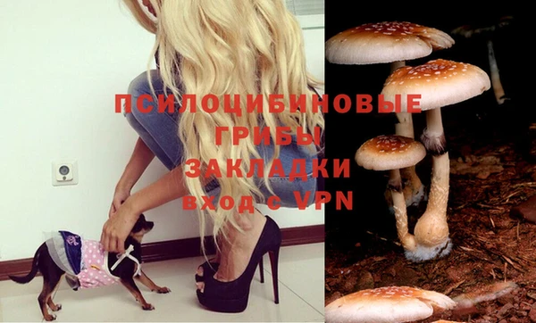 ГАЛЛЮЦИНОГЕННЫЕ ГРИБЫ Балахна