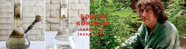 ГАЛЛЮЦИНОГЕННЫЕ ГРИБЫ Балахна