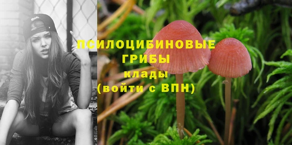 сатива Саяногорск