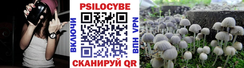 Псилоцибиновые грибы Cubensis  Усмань 